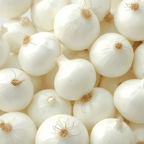 Maharashtra White Onion Supplier